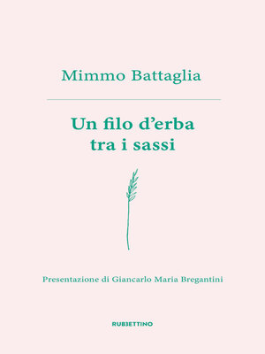 cover image of Un filo d'erba tra i sassi